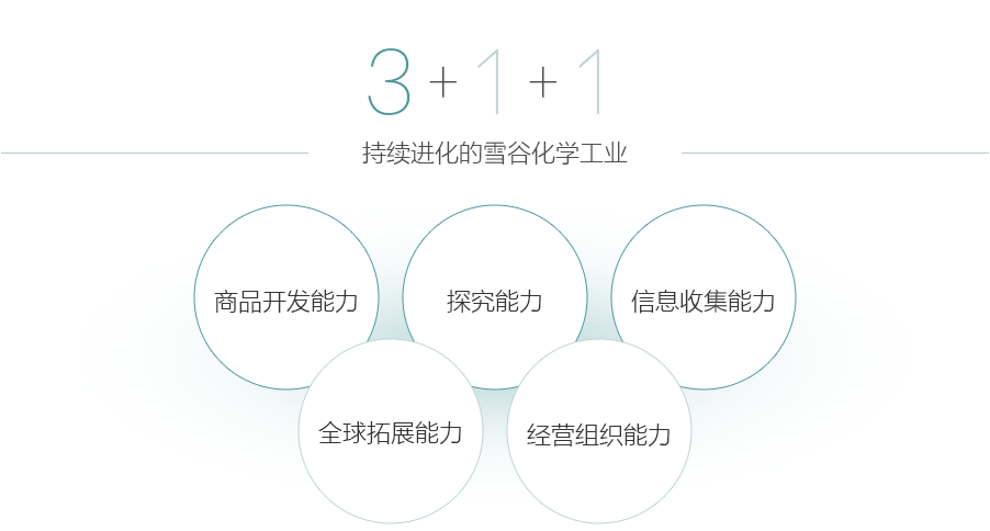 持续进化的雪谷化学工业